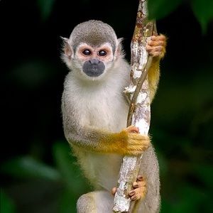 Meet your Posher, Abbigail